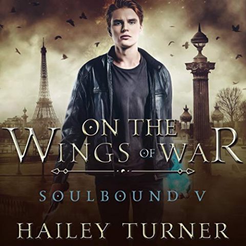 On the Wings of War by Hailey Turner