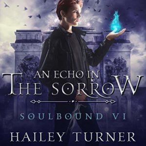 An Echo in the Sorrow by Hailey Turner