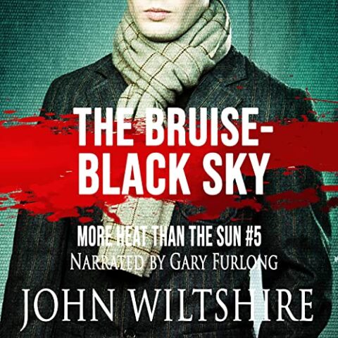 The Bruise-Black Sky by John Wiltshire