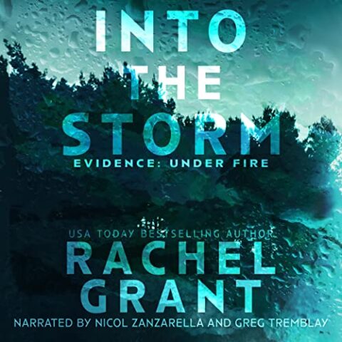 Into the Storm by Rachel Grant