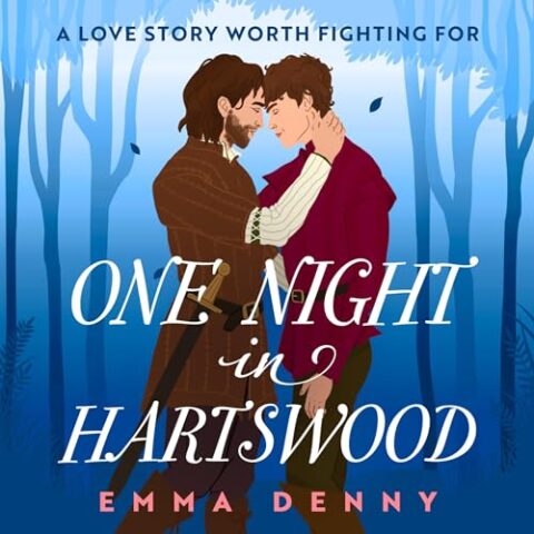 One Night in Hartswood by Emma Denny