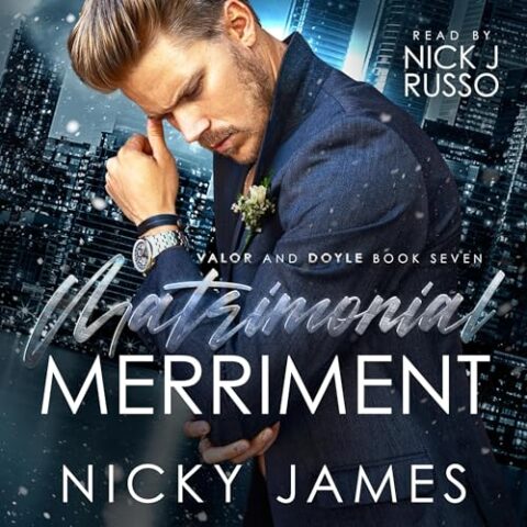 Matrimonial Merriment by Nicky James